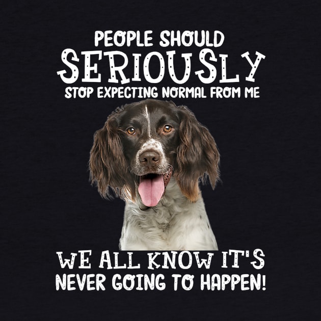 English Springer Spaniel stop expecting normal by Fowlerbg